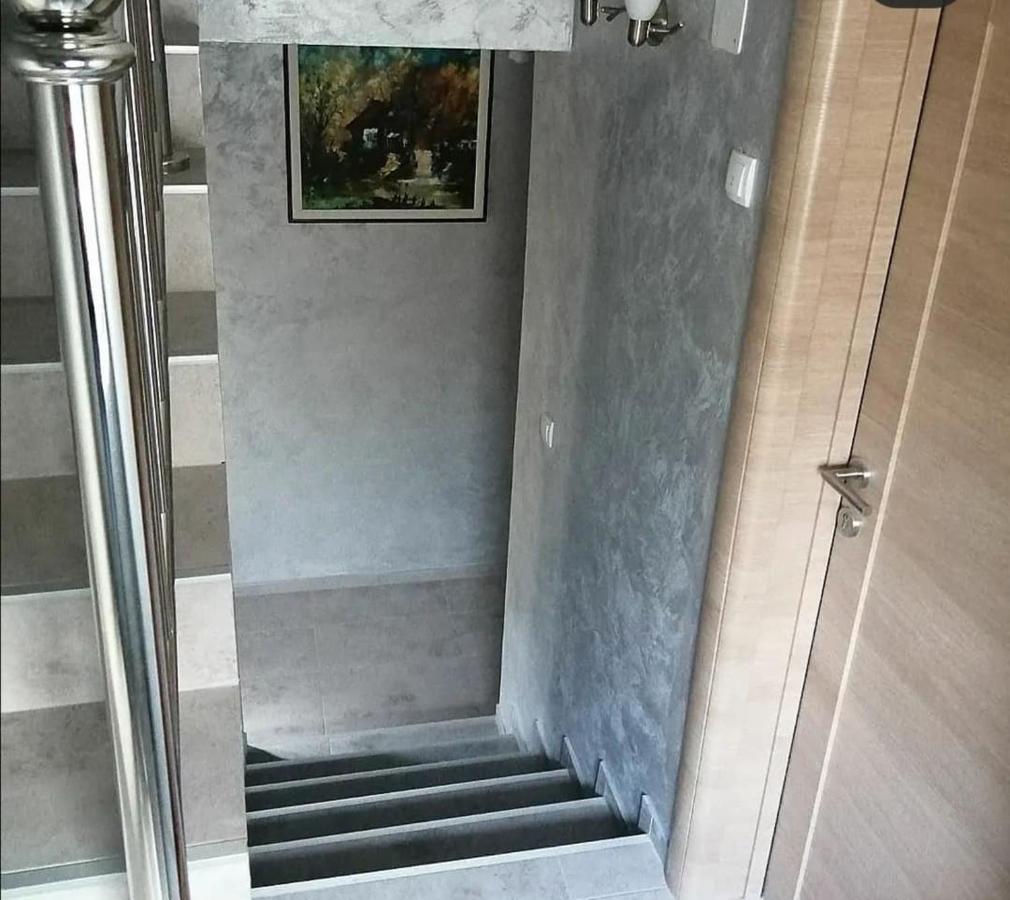 Vila Lux Nedeljkovic Gornja Trepca Čačak Exterior foto