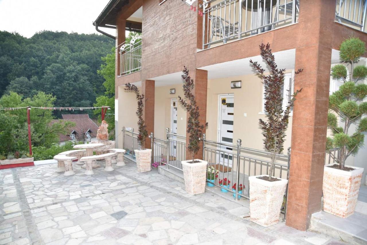 Vila Lux Nedeljkovic Gornja Trepca Čačak Exterior foto